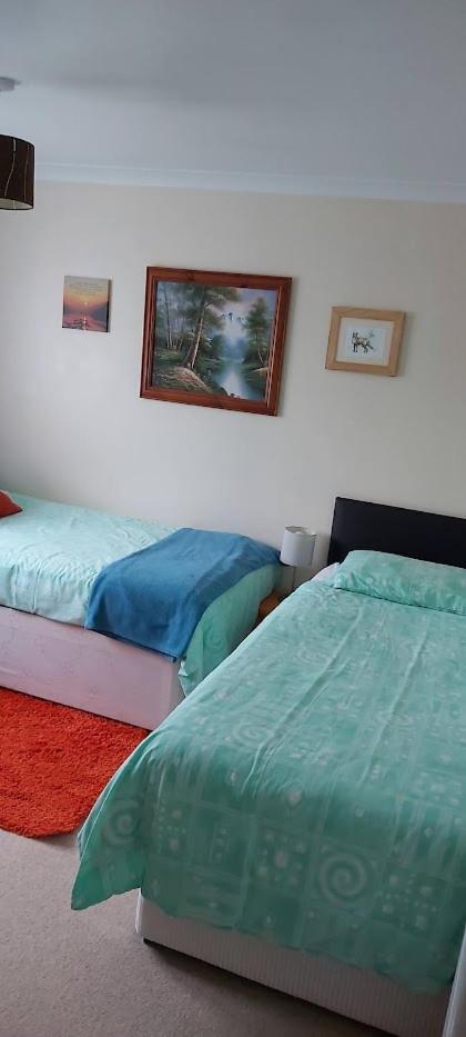 Homely Haven, Ντανφέρμλιν Εξωτερικό φωτογραφία